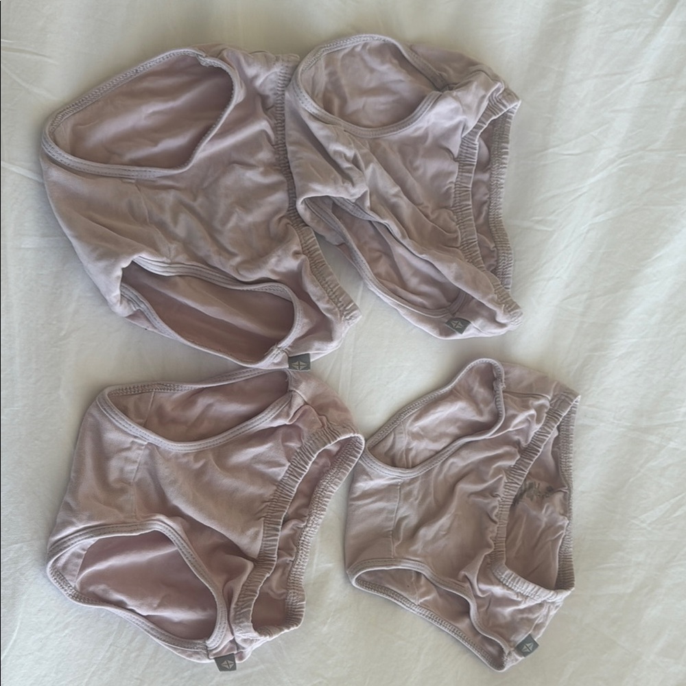 Set of Four Kyte Baby Light Pink Underwear size 2T